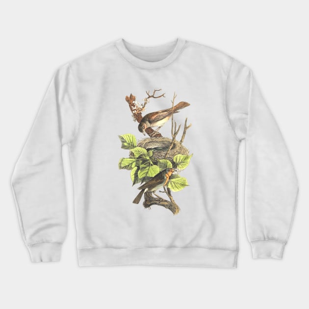 BIRDS ON THE NEST Crewneck Sweatshirt by Biophilia